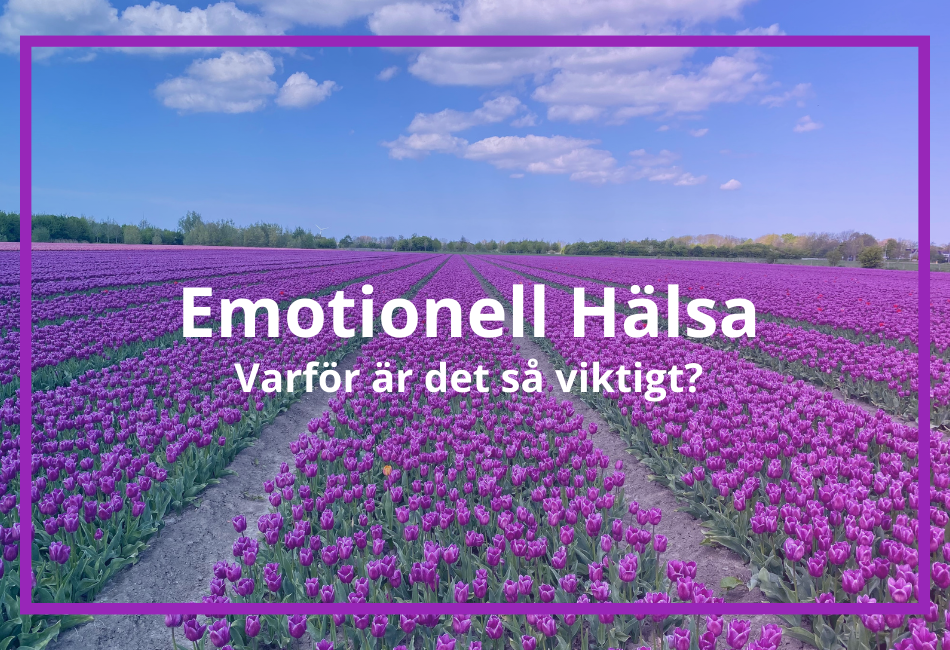 Emotionell Hälsa